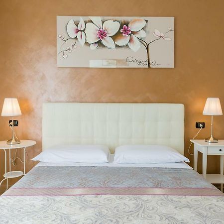 B&B Le City Montesilvano Marina エクステリア 写真